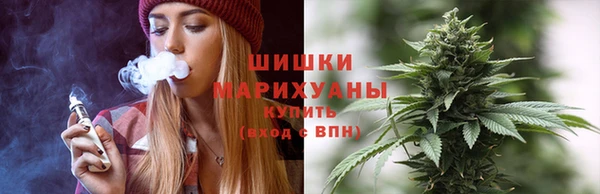 apvp Мегион