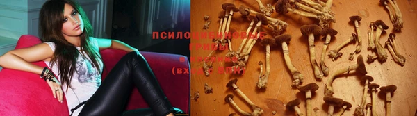 синтетический гашиш Медвежьегорск