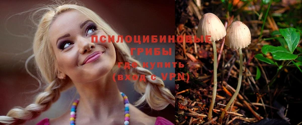 синтетический гашиш Медвежьегорск