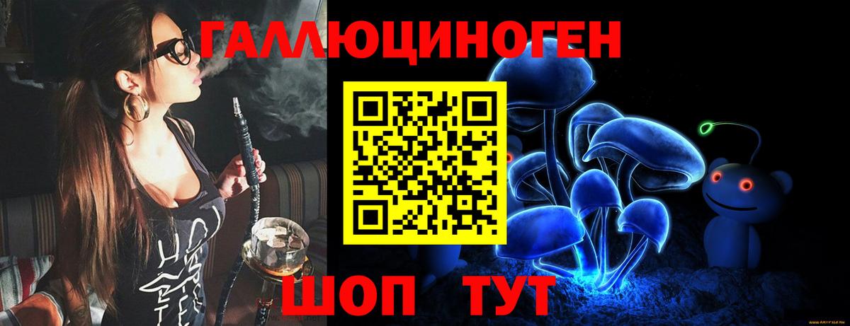 Псилоцибиновые грибы Psilocybe  Вход с VPN  Усинск 