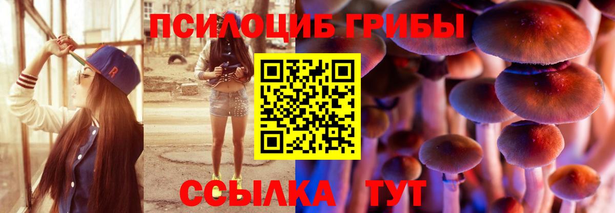 Галлюциногенные грибы GOLDEN TEACHER  Усинск 